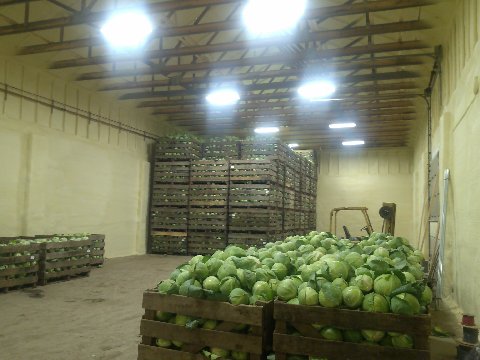 Cold storage building roof with foam and coating system